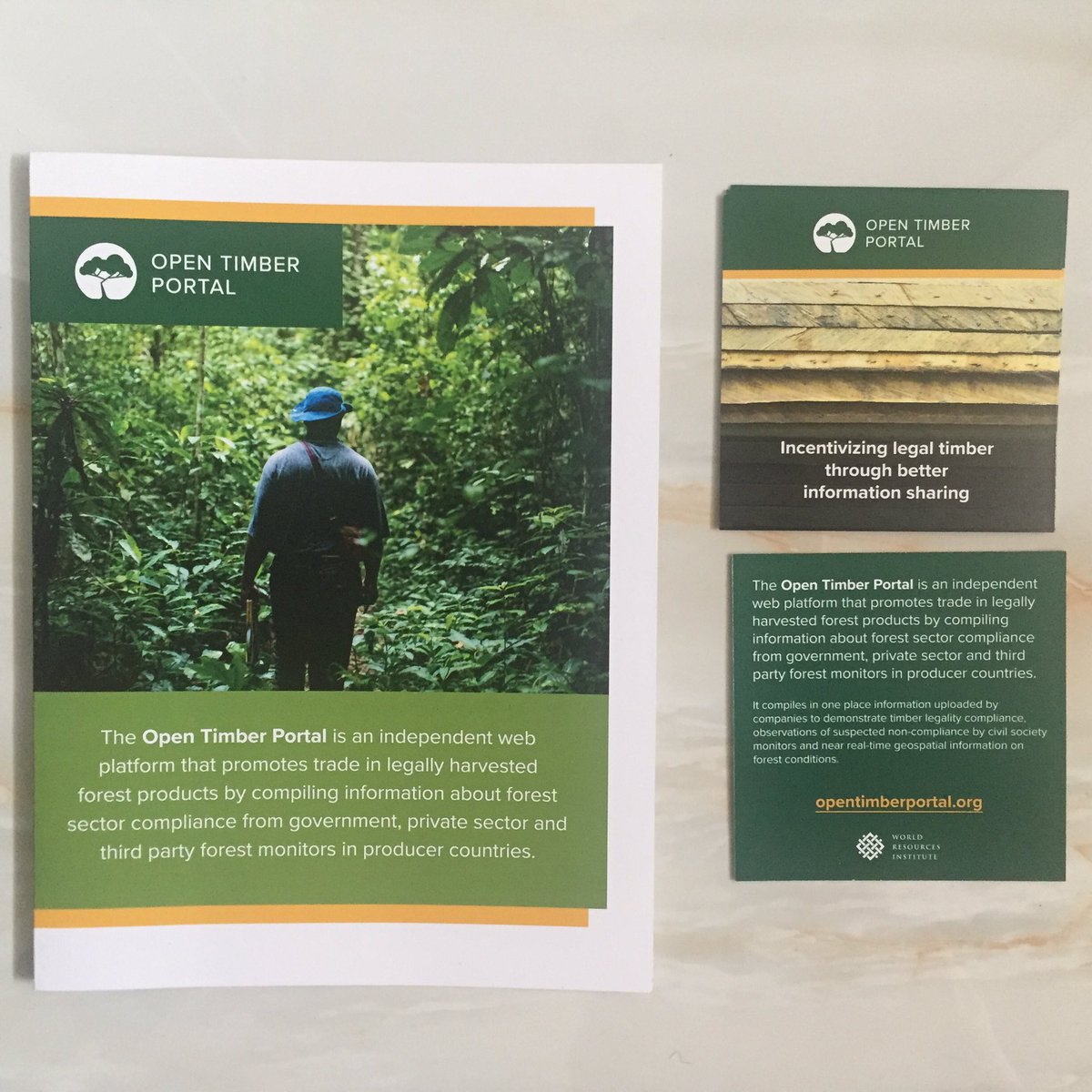 MarieValleeWRI's tweet photo. Ready to showcase our soon-to-come Open Timber Portal at Chatham House meeting! #CHLogging #ForestLegality https://t.co/vvVHx99I3j