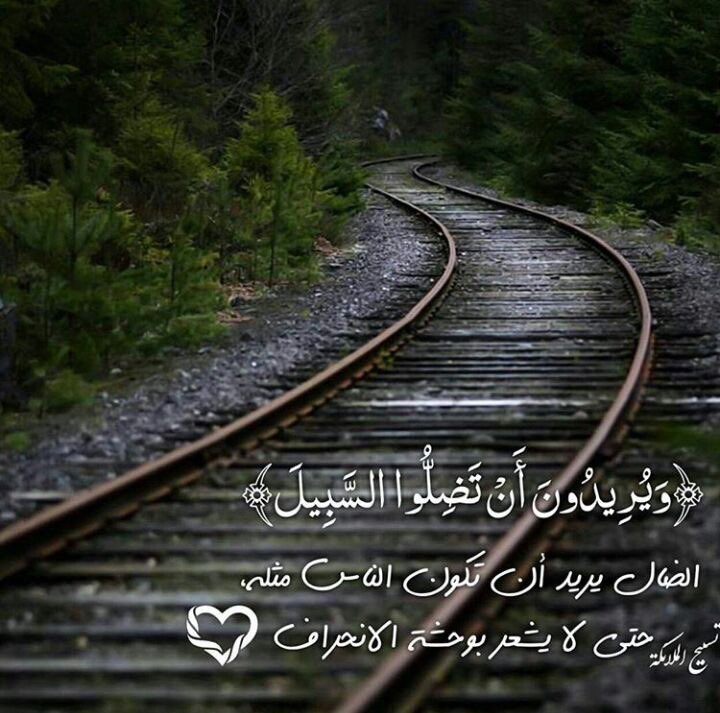 (وِيِّربِدِوِنِ أّنِ تّضّلَوِ أّلََّسبِيِّلَ )
🍃🍃
الضال يريد أن تكون الناس مثله حتئ لا يشعر بوحشة الانحراف 🔸