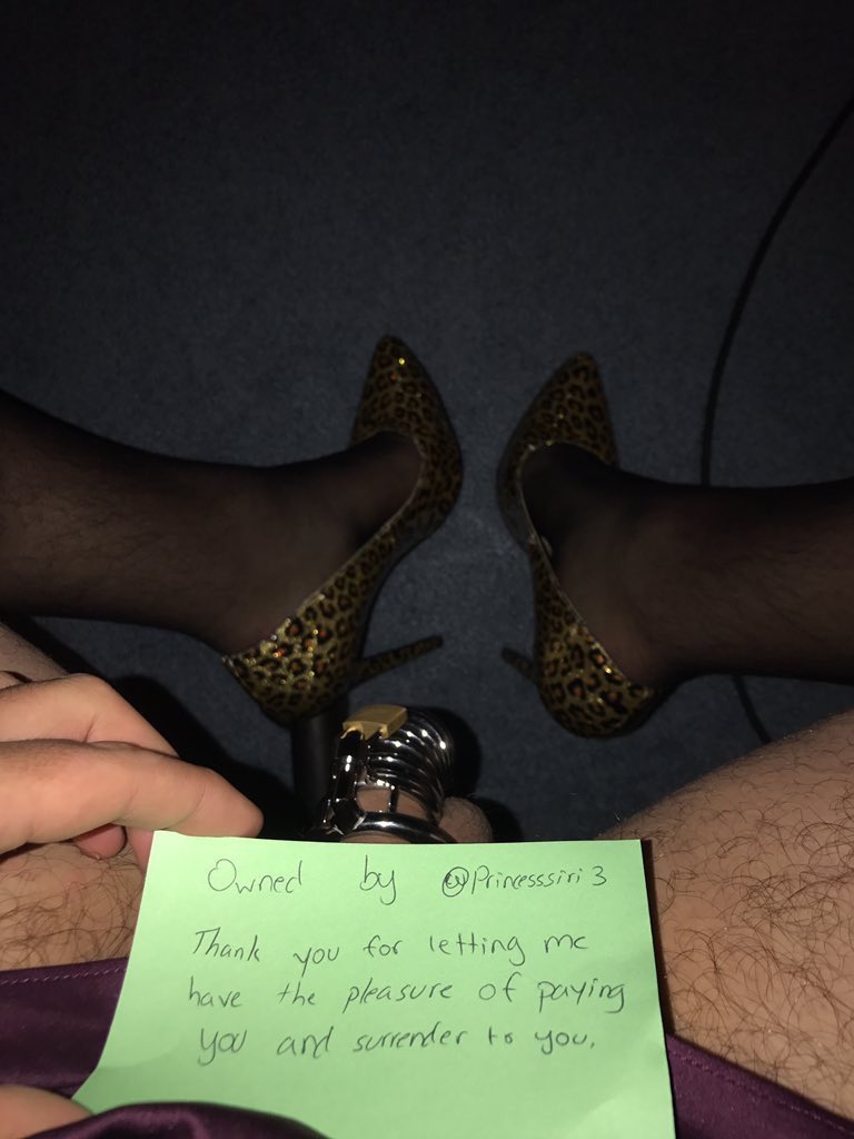 princesssiri3's tweet photo. Another #weak_minded slut craves my attention #rt and like if you want to see me #rinse &amp; #destroy my new #toy @rtdumb @RTwimp @InferiorRT https://t.co/Ki31BgOrn1
