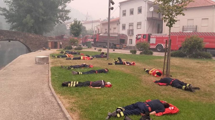 ポルトガル史上最大級の山火事 の背景には 熱波 落雷 ユーカリ 森さやか 個人 Yahoo ニュース