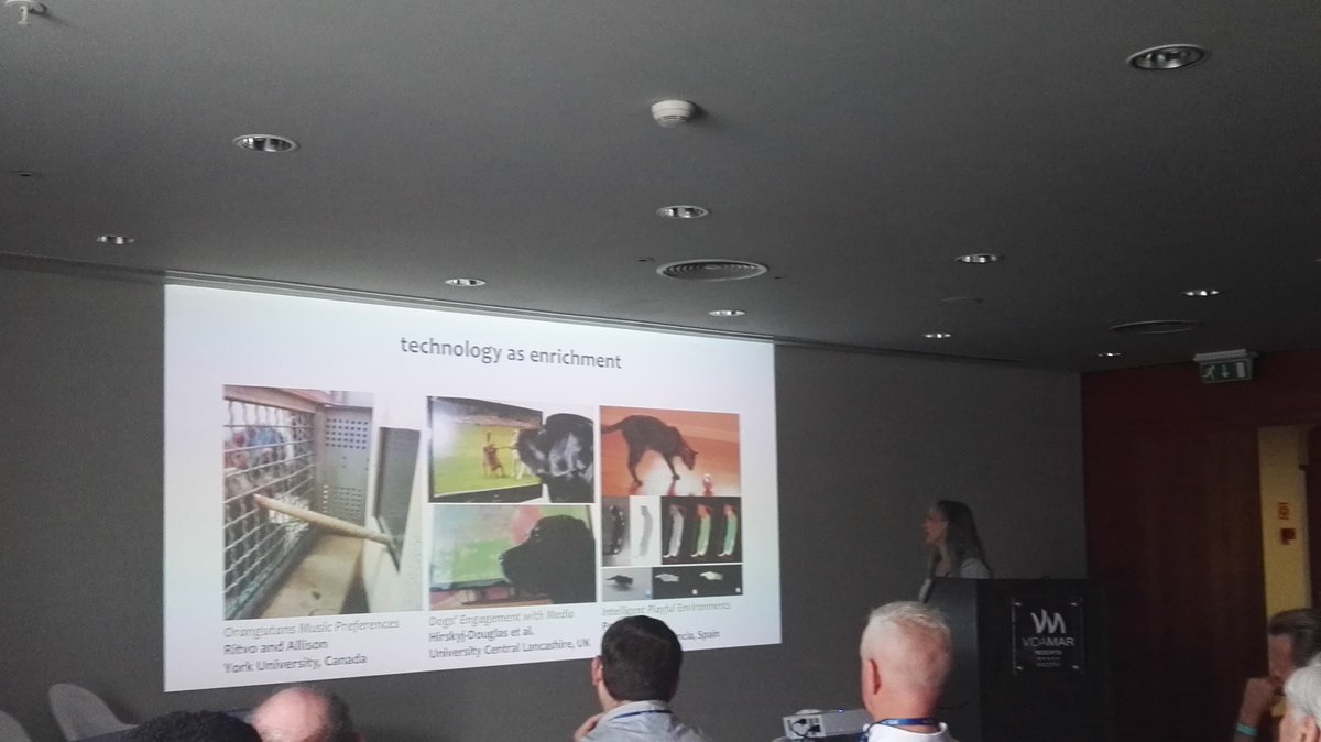 DominikaEAI's tweet image. Keynote Speech on #AnimalComputerInteraction by Clara Mancini at #Intetain2017 @EAIchannel