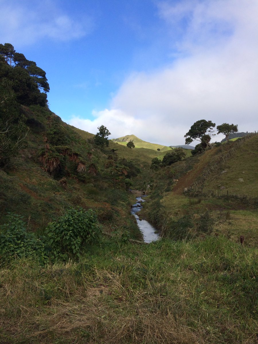 AlexGale3's tweet photo. Just thought I'd start up my tweet game! Waimattanui, NZ pic taken on smoko #landscape https://t.co/xTmVunXLCx