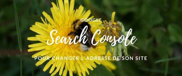 amaranthe's tweet photo. Changer l’adresse de son site via la Search Console #searchconsole #google #referecement https://t.co/S1AJ7Dd1iQ https://t.co/qURrx6mHkz