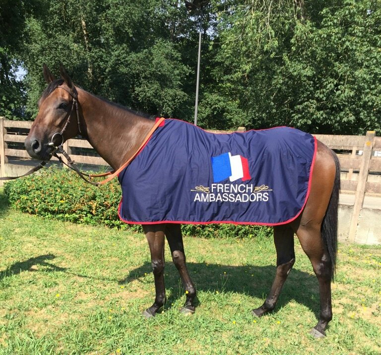FRBC_Official's tweet photo. #TheRightMan and his co-owners are proud to be part of the #FrAmbassadors team ahead of Royal @Ascot!trained by D. Guillemin #owninFrance https://t.co/AlPrwVTKkG