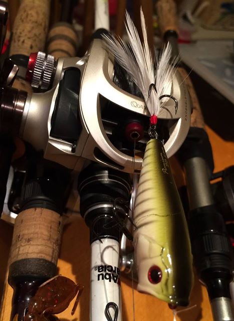 With the weather heating up, you know it's time for reaction baits! #Ecogear #Angling #Fishing #Anglers