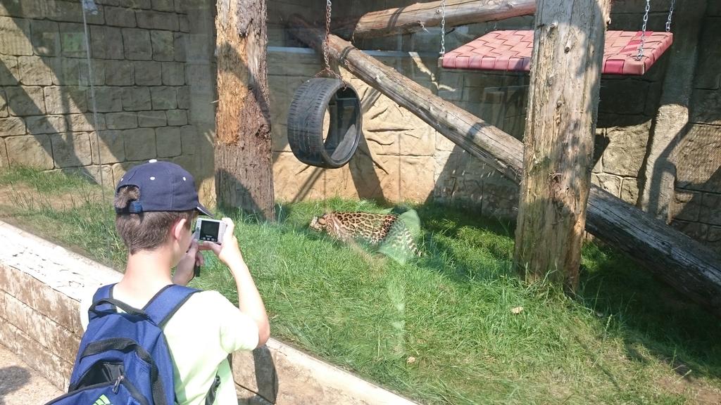 StMarysSchRicky's tweet photo. Exploring the wonders of Amazon World. https://t.co/KakjnXT1qX