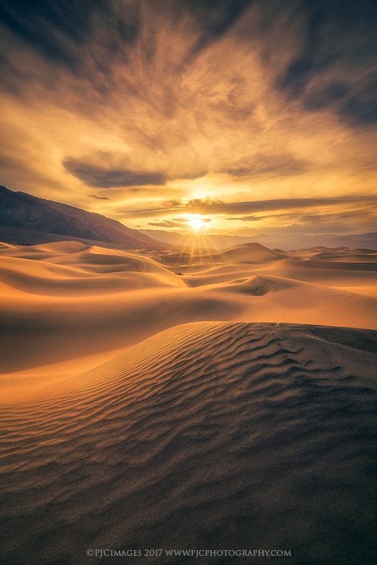 RealDepartment's tweet image. #nature