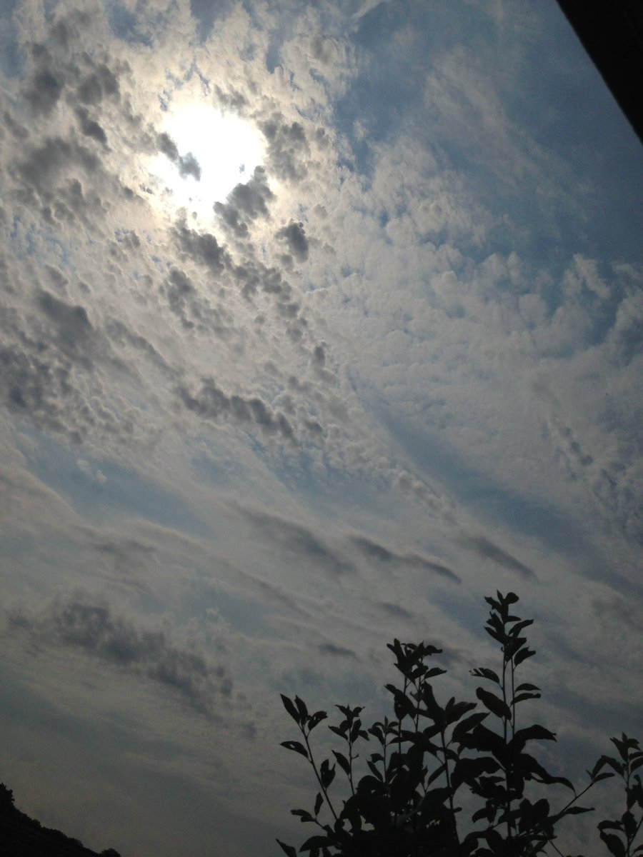 shesLove58's tweet photo. What a state they've made of our sky #GeoEngineering #WeatherModification #SolarSheild whatever you call it I do not consent https://t.co/0KOSGl4zXI