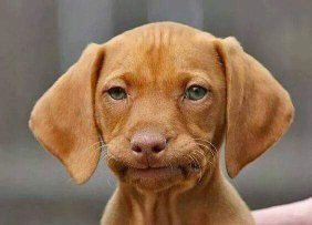 techieplease's tweet image. Most Techie's faces during a tech session when the director asks for something ridiculous. #techie #theatre #tech #techieplease