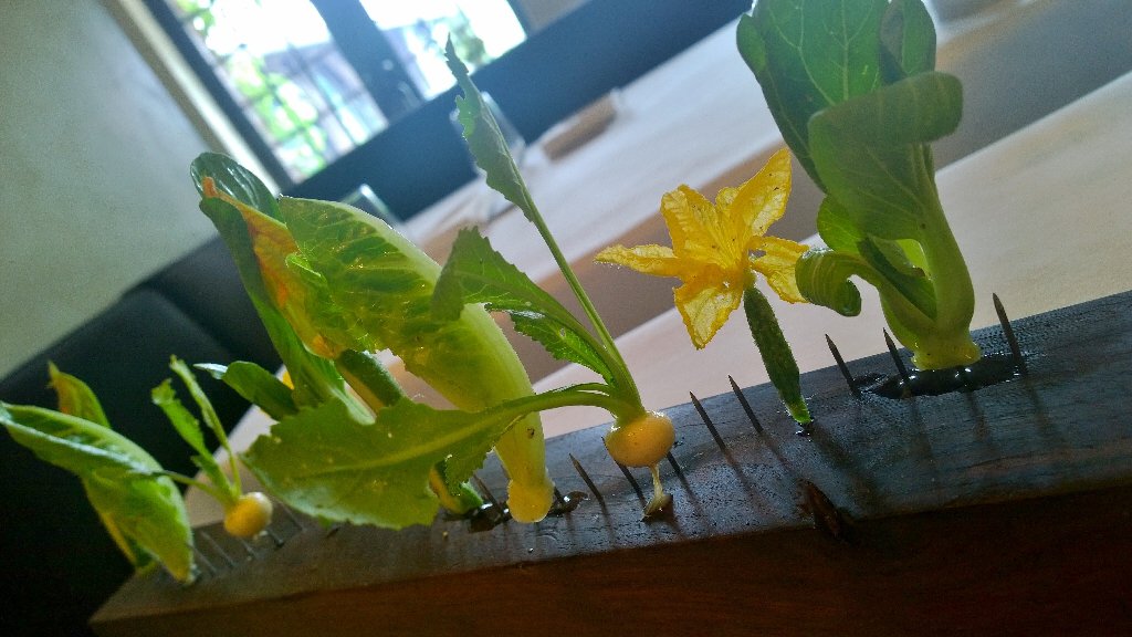 John B Turiano tweet media