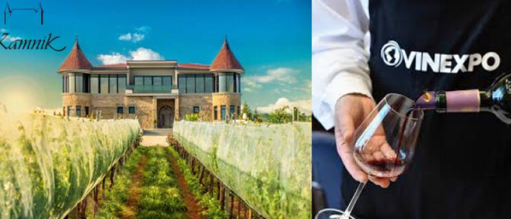 biznisvesti.mk/vinata-kamnik-…