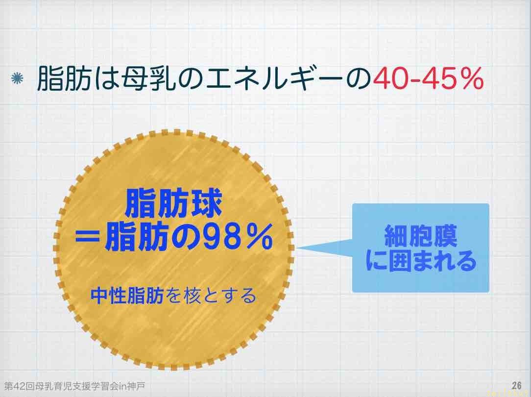 母乳育児関連