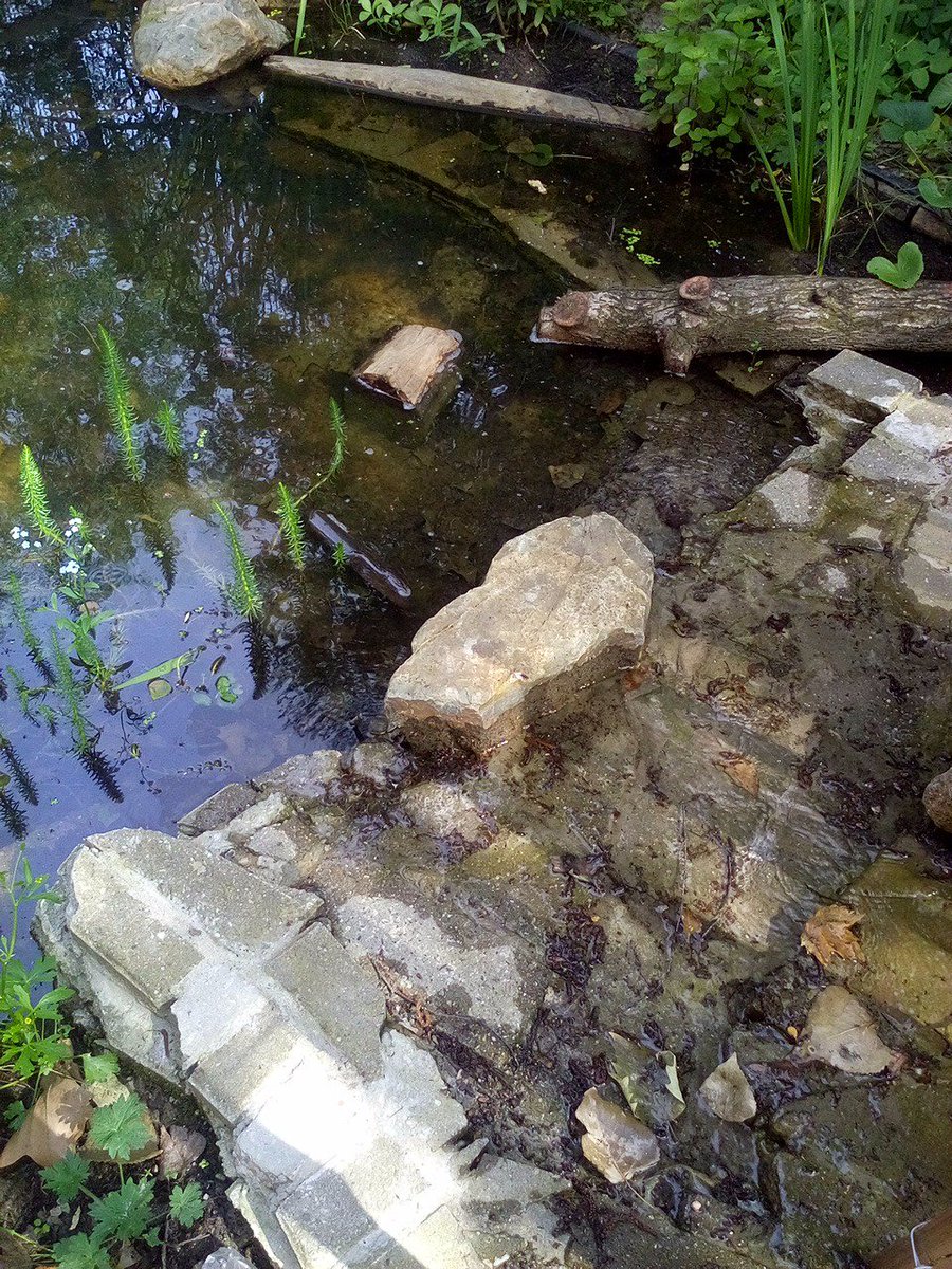 zmlkoetsveld's tweet photo. Plezier met water, spelen met water #natuurspeelplein #buitenspelen #waterspel https://t.co/44NOTIbuOz