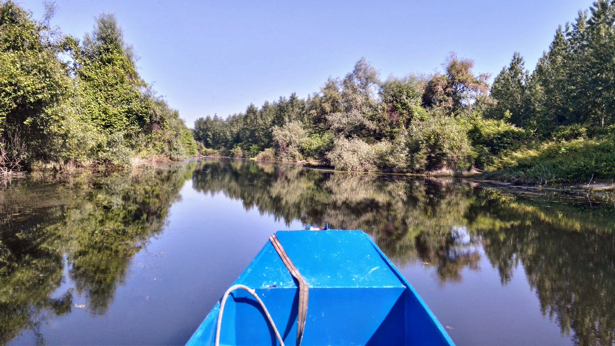 albicilla66's tweet image. Spasimo beogradsku amazoniju od uništenja!! 🌼🦆🐟🐰
Potpišite i šrite dalje 🐦🦊🦋🐢🌿peticije24.com/spasimo_beogra… 

#novaLuka #Beljarica #Zemun #Beograd