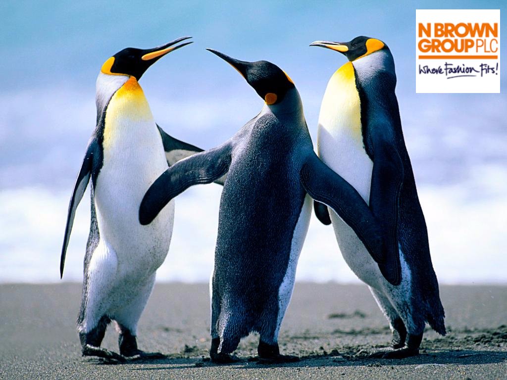 NBr_Test's tweet photo. penguins on a hot day https://t.co/VD5XBlryjK