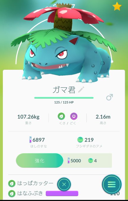 ポケモンgo アプデ後のサイズが大きい巨大化バグ修正はいつ プテラ消える ギャラドス潜る ハガネール小さい ポケgo ポケゴー 芸能ニュース速報