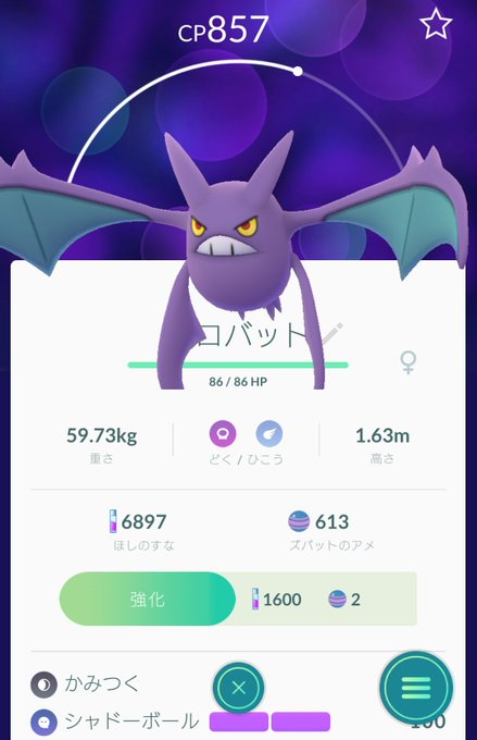 ポケモンgo アプデ後のサイズが大きい巨大化バグ修正はいつ プテラ消える ギャラドス潜る ハガネール小さい ポケgo ポケゴー 芸能ニュース速報