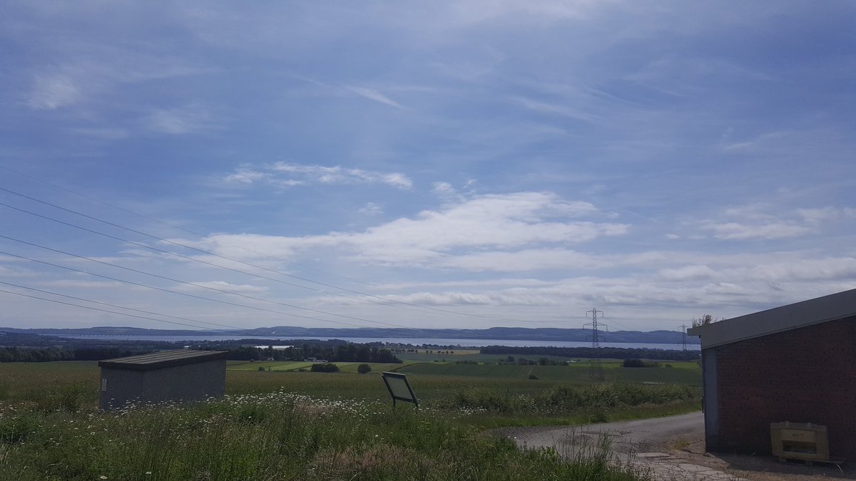 PotatoAphidMan's tweet photo. Not a bad day at all for aphid hunting :) https://t.co/2ECAE1HmxI