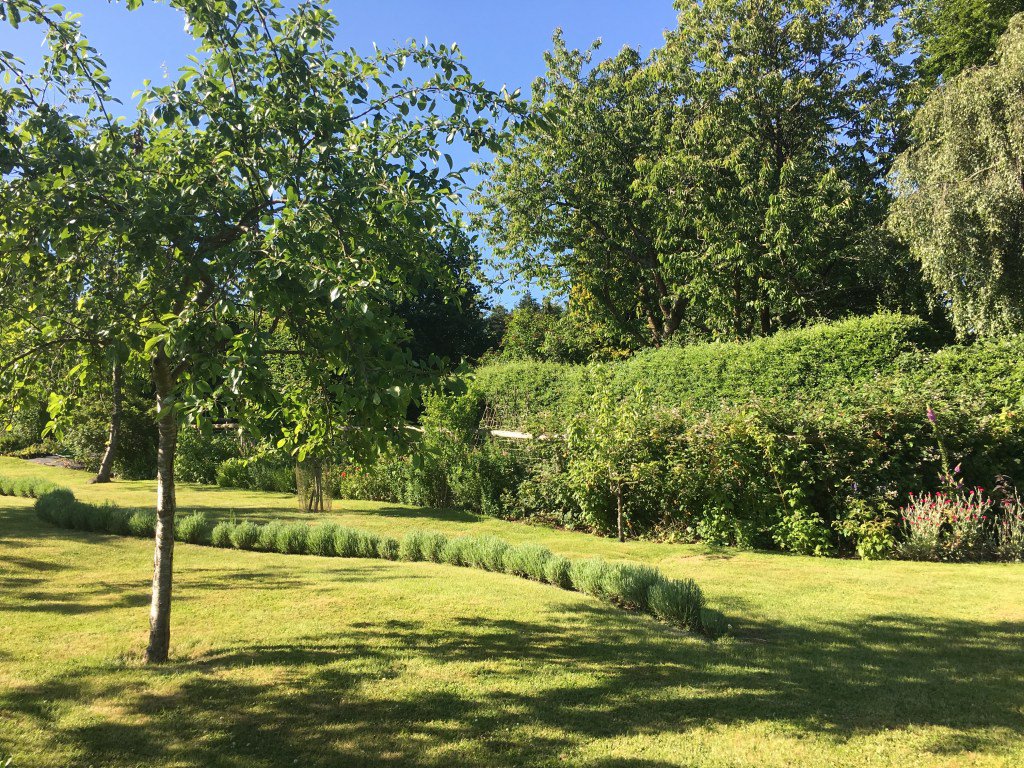 GrandTouristUK's tweet image. An English Garden – Boars Hill, Oxford educated-traveller.com/2017/06/19/an-…