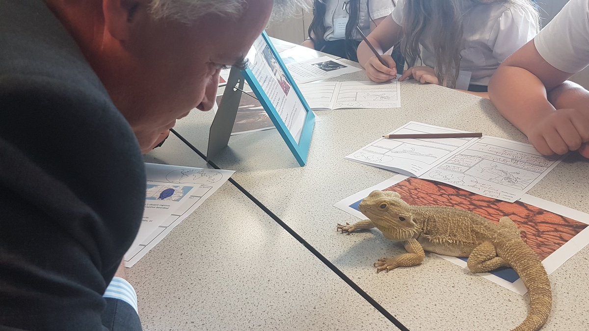 timloughton's tweet photo. Spot the reptile #EcoSummit2017 https://t.co/8h0TNWtLRe