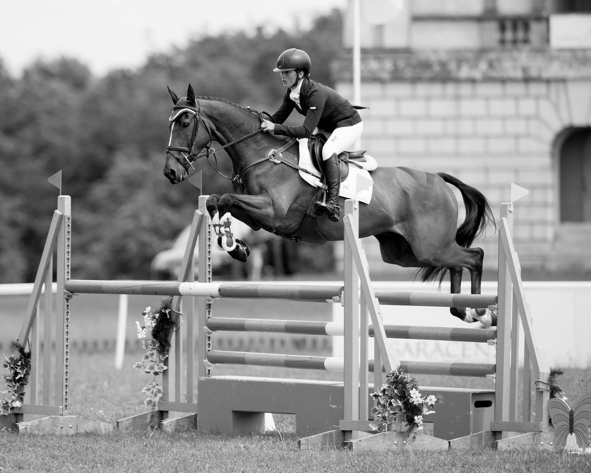 😍 Second Supreme looking gorgeous at Houghton in <a href="/PKSportswear/">PK Sportswear</a> numnah @ZebraProducts Veridus boots <a href="/Devoucoux/">Devoucoux</a> saddle 📸 by <a href="/benjamincclark/">Ben Clark</a> 😍