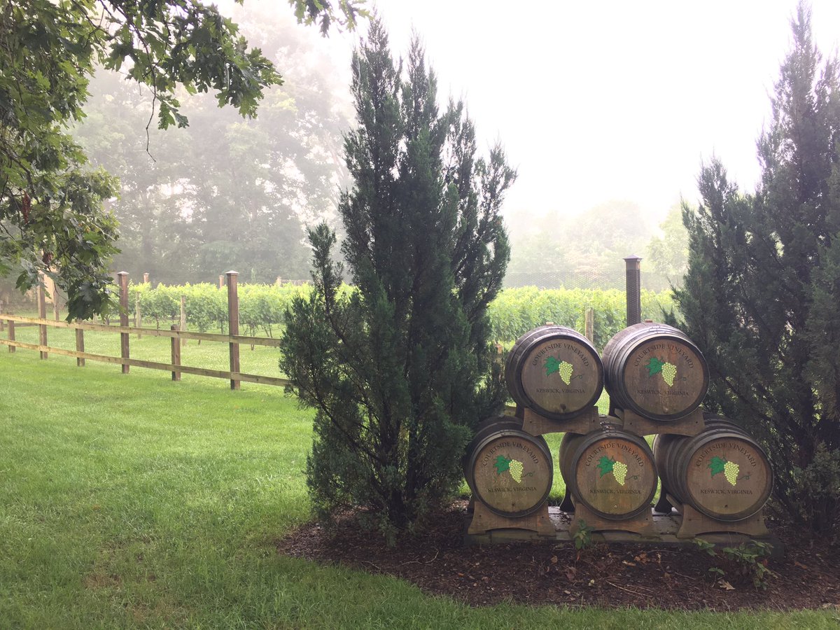Keswick_Hall's tweet photo. Morning at our Courtside Vineyard. https://t.co/fy2Au43sFa