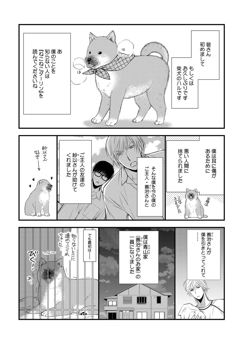 完売品再販なし『ねこねこプチ集』dolmen-dolly 楢崎壮太 同人誌