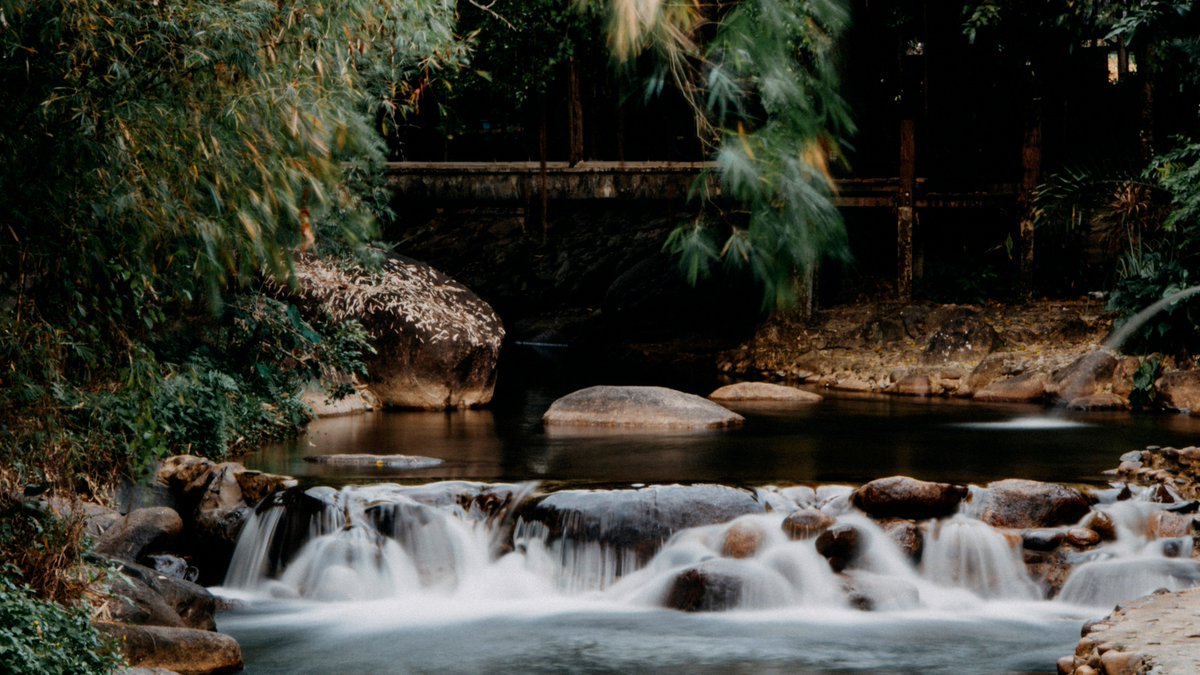 t. (@dmf_ter) | Twitter