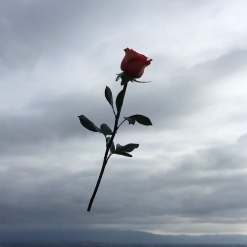 وما يُدريك.. 
لعلك ستقف قريباً أمام أحلامك قائلاً..
قَدْ جَعَلَهَا رَبِّي حَقَّاً..

🌸💚