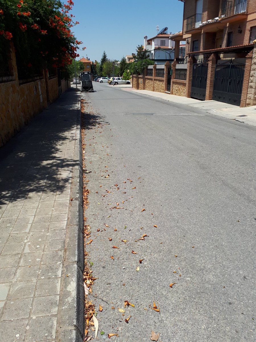 Barredora Jun tweet media