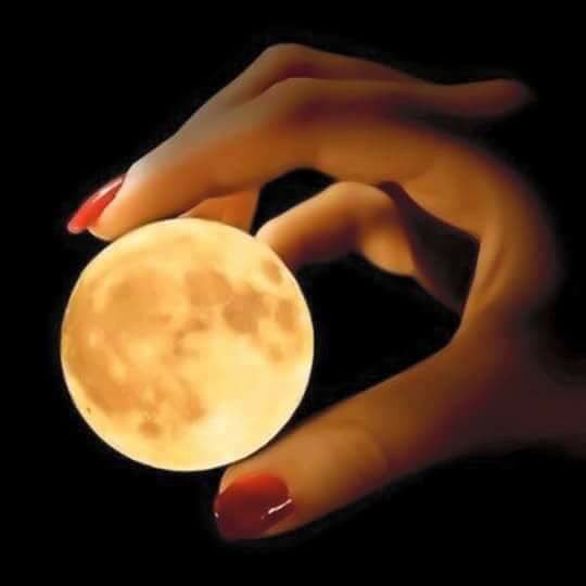 Fabiula835649's tweet photo. Os q desprezam os pequenos acontecimentos. Nunca farão grandes descobertas. Pequenos momentos mudam grandes rotas. @Cristia09499942   🤜🏼❤️🤛🏿 https://t.co/Jcw2G98fBP