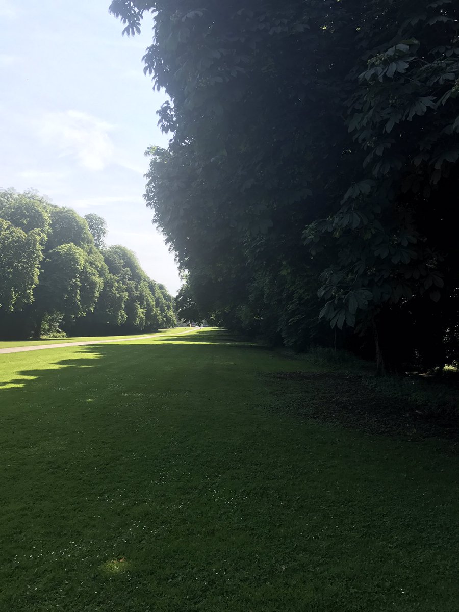 PaddyWhitePT's tweet photo. Inspiration for July's meal schedule is flowing thick &amp; fast in this weather ☀️ Eating clean &amp; light is the objective. #SummerHeights 🍽 https://t.co/pjXkER8lkt