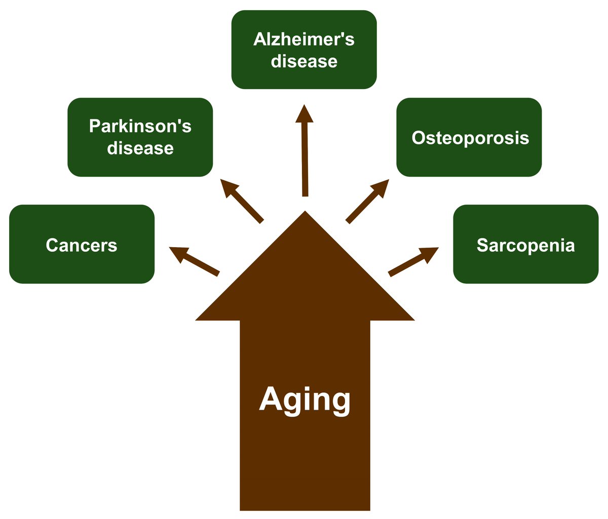 ChrisRabane's tweet photo. Does the tree of life have to be that way? Do you think that aging is a curable disease that affects our telomeres? #yalit #aging #bookworm https://t.co/TXBjXpTxdD