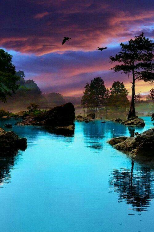geonelroma's tweet photo. Amazing &amp; Beautiful Photos
02 https://t.co/VfNu6sCycS