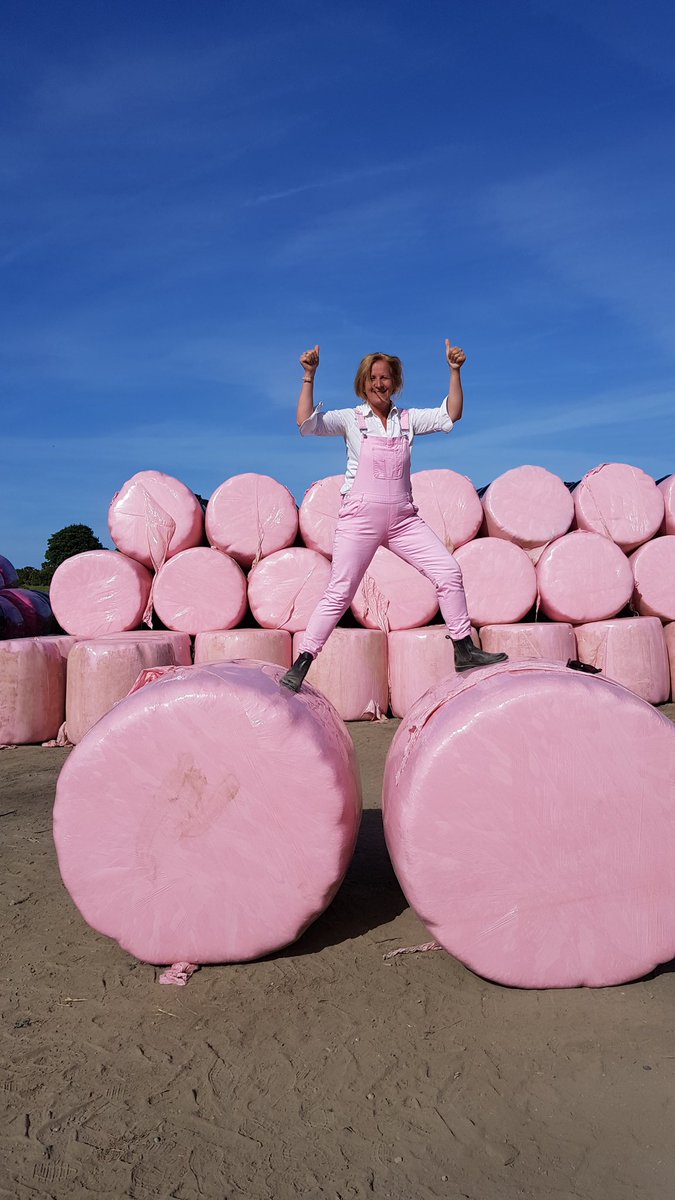 kilmullenfarm's tweet photo. YEH #PINKBALES for @BreastCancerIre @SEWomenFarming @farmersjournal @IrishCountryLiv @IrishFarmerette https://t.co/P62RK9TZ3a