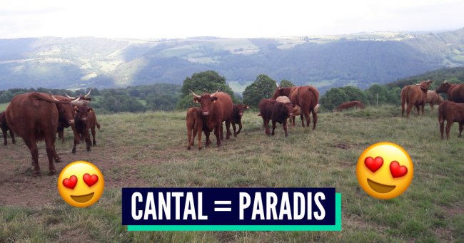 Top 15 des raisons de déménager dans le Cantal, le département du bonheur topito.com/top-passion-ca…