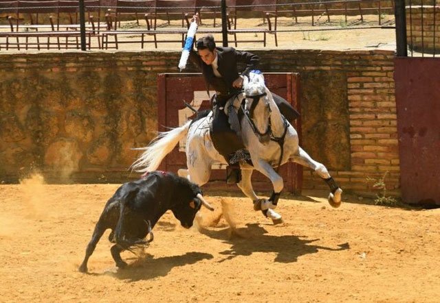 <a href="/Adrian_Venegass/">Adrián Venegas</a> se prepara en un festejo campero.
badajoztaurina.com/2017/06/19/adr…