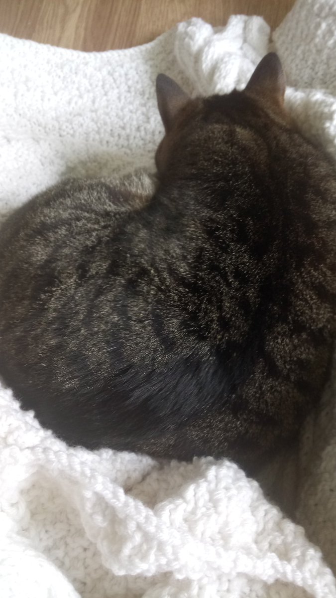 I was trying to finish binding of this blanket and one of the cats decided it was a good place for a nap.