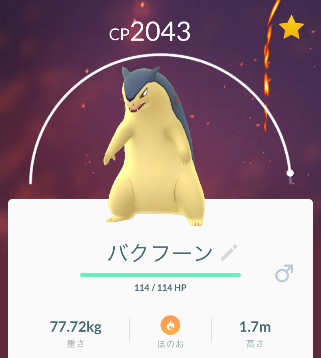Kyo 55 Ar Twitter 本日のポケモンgo イベントのおかげで ヒノアラシ の飴が貯まりまして 最終形態のバクフーンまで進化させる事が出来ました O 一度間違えて マグマラシはもう居るのに ヒノアラシ マグマラシを進化させちゃって 飴 Kyo 55 Ar Twitter 本日のポケモンgo イベントのおかげで ヒノアラシ の飴が貯まりまして 最終形態のバクフーンまで進化させる事が出来ました O 一度間違えて マグマラシはもう居るのに ヒノアラシ マグマラシを進化させちゃって 飴