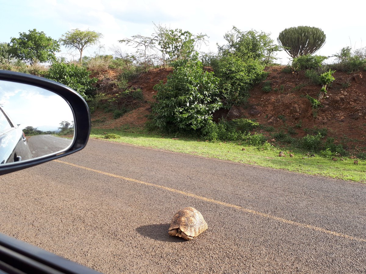 Dr. Joy Mugambi tweet media