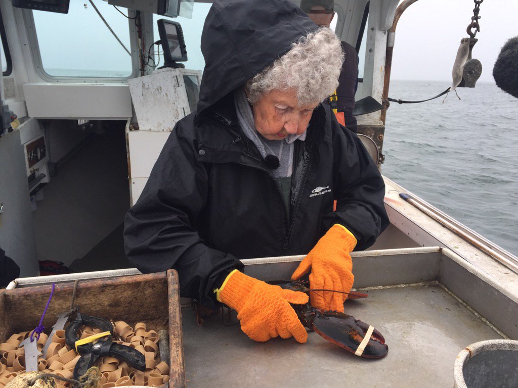 billgreensmaine's tweet photo. 97 yr old Ginny Oliver lobstering off Spruce Head. "I only go 3 days a week now," she says. https://t.co/VuOckcd54V