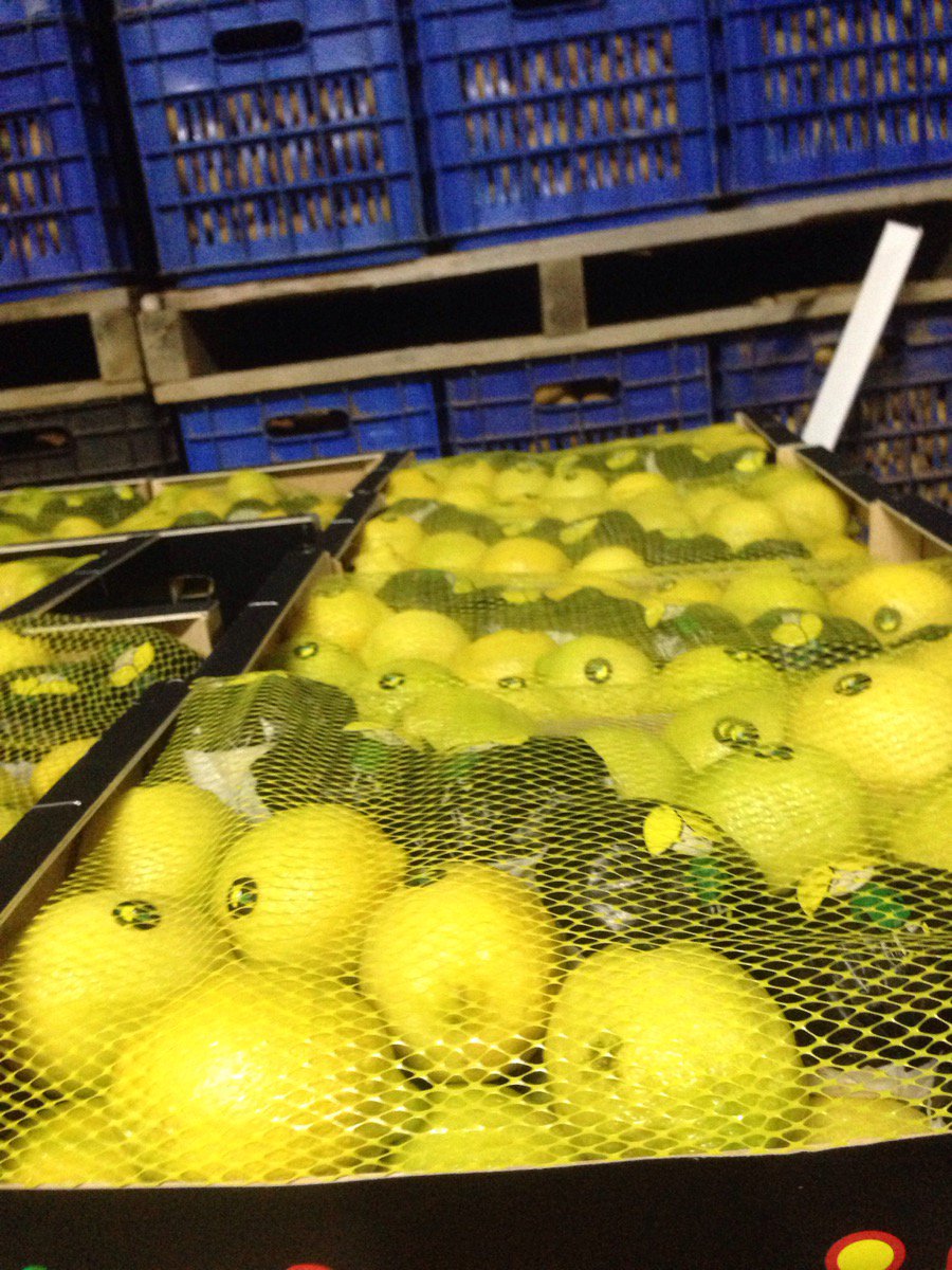 SPANISH LEMONS...NEW ARRIVAL
