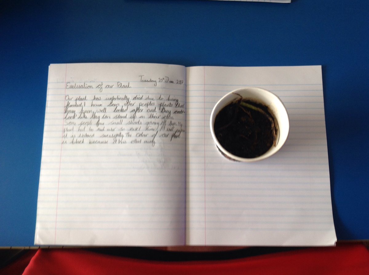 misshook2's tweet photo. In year 5H we have evaluated our plant growth. @HolyRosary_ #whatItaughttoday @kathryn_dukes https://t.co/oAx65u51pD