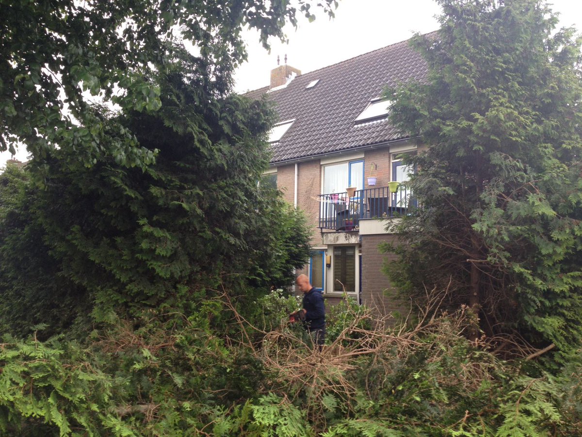 hovenierbart's tweet photo. In de afgelopen weken hebben we deze tuin veranderd van een soort oerwoud naar een strakke, eigentijdse tuin.
https://t.co/lrsTmLm9kv https://t.co/VZFQCjO86M