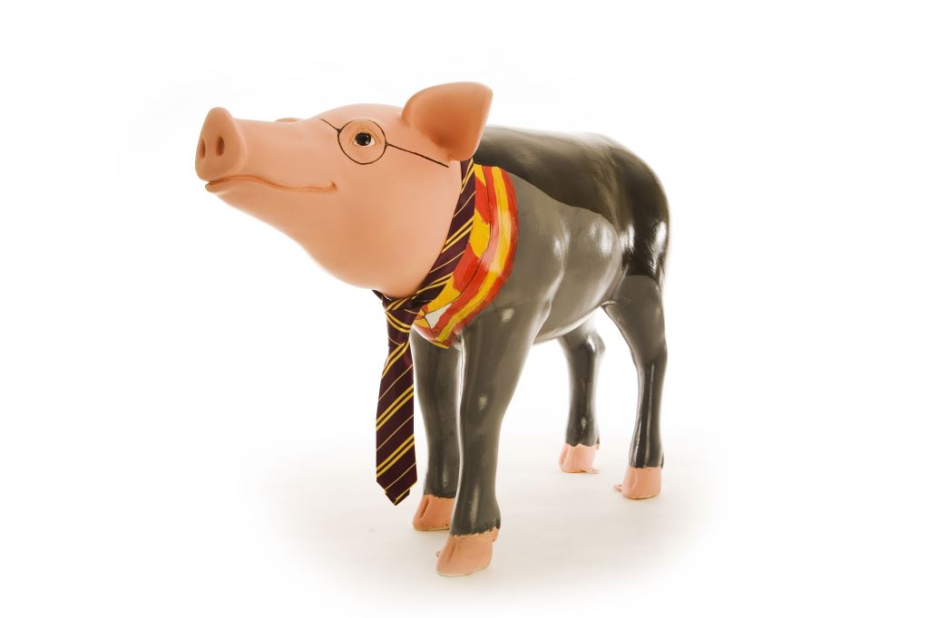 HaslemereHogs tweet media