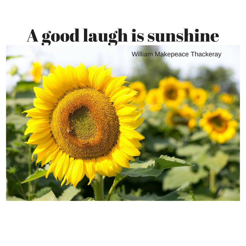 HLoganWood's tweet photo. Enjoy the sunshine and laughter wherever you are lucky to find it. https://t.co/JW6McNoUiC