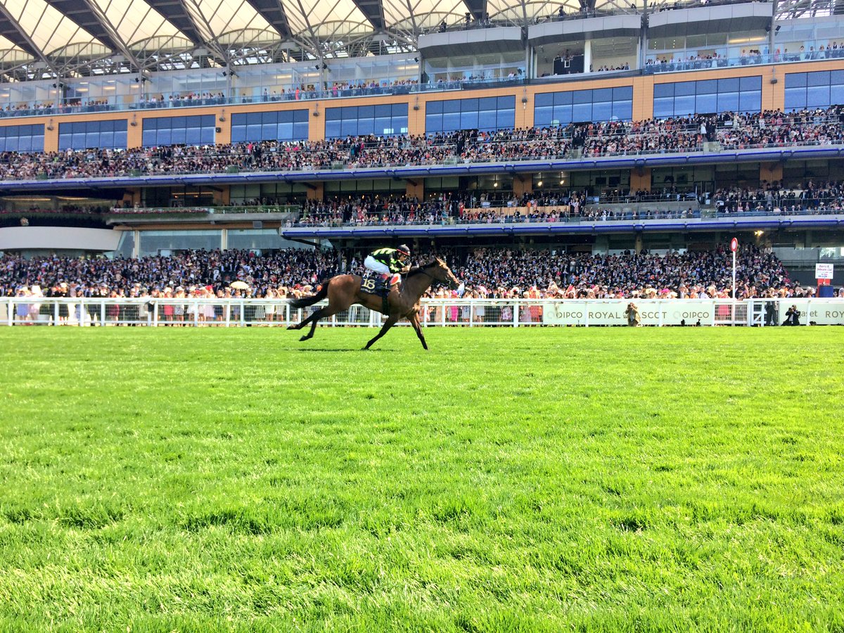 Ascot Racecourse tweet media