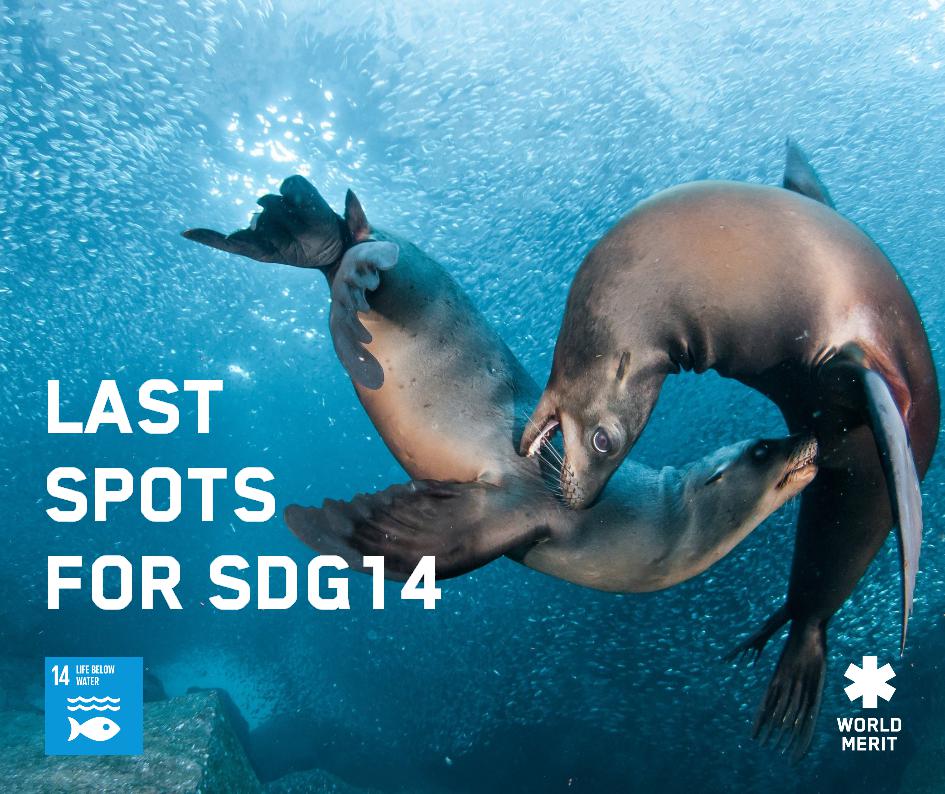 WorldMeritOrg's tweet photo. #SDG14: Conserve & sustainably use the oceans, seas & marine resources for sustainable development. #WorldMerit360
https://t.co/BwTGqKxAg7 https://t.co/zmvafyWtqF