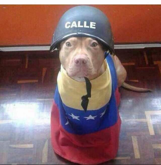 jrc_original's tweet photo. #Calle #PorUnMejorFuturoParaTodos https://t.co/i4iaYrb3bY
