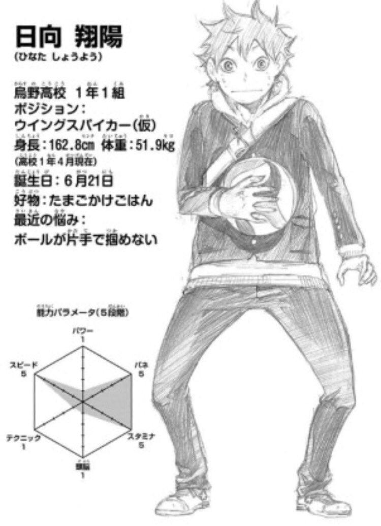 טוויטר 眠い君 Zzz בטוויטר 翔陽誕生日おめでとう 春高では小さな巨人として今まで以上の活躍期待してる ただバレー夢中になるのは良いけど勉強も程良く頑張ってくれ笑 日向翔陽生誕祭17 ハイキュー 祝う人rt Rtした人全員フォローする 6月21日は